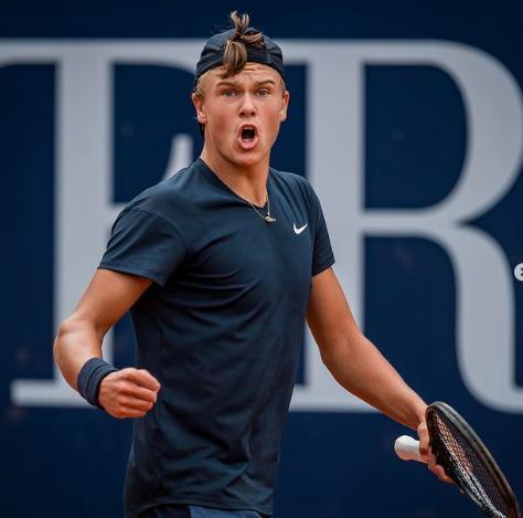 见长的莫兰 见长的莫兰