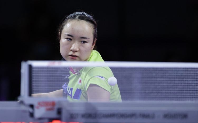 我们看到马 我们看到马